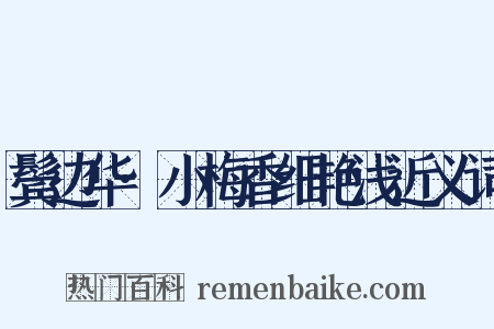 鬓边华·小梅香细艳浅近义词是什么意思的图片